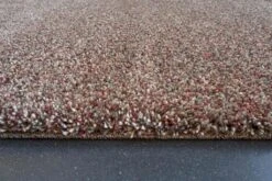 Mastercraft Coral Shaggy Rug 24001/1121 -Asiatic Shop 53885 24611